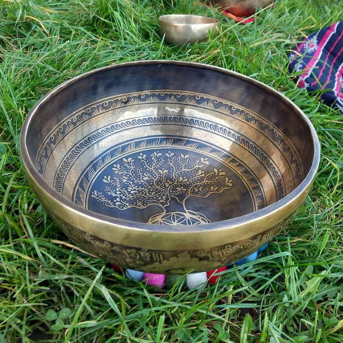 Bol tibétain placé en pleine nature pour un soin de sonothérapie par le Nid Sonore